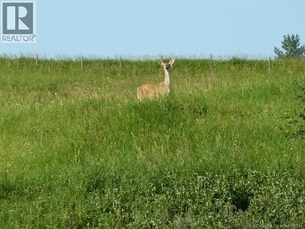 Rural Ponoka County, AB T4J1R3,14, 420069 Range Road 284