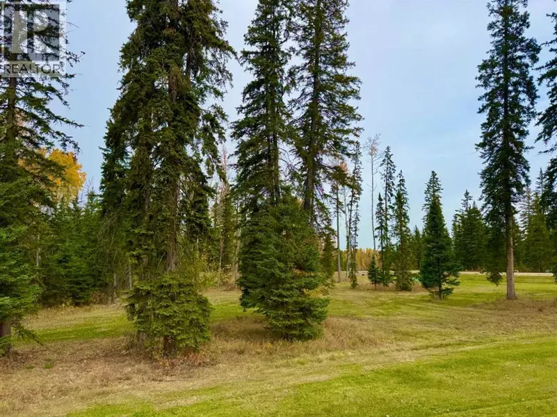 202 Meadow Ponds Drive, Rural Clearwater County, AB T4T1A7