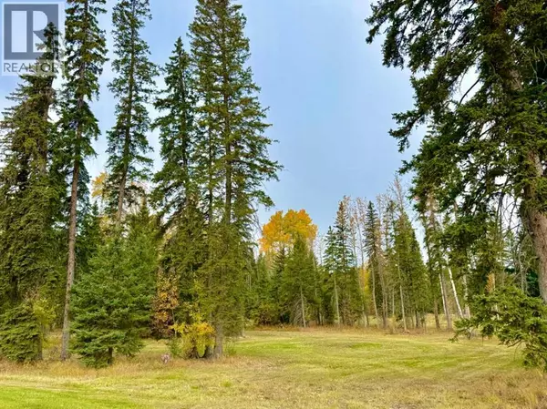 Rural Clearwater County, AB T4T1A7,202 Meadow Ponds Drive