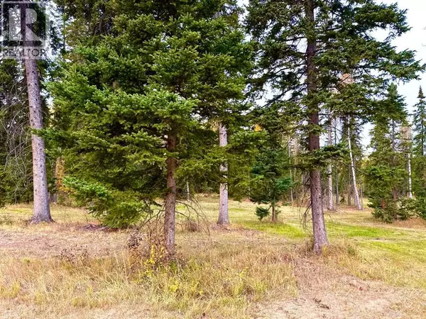 Rural Clearwater County, AB T4T1A7,202 Meadow Ponds Drive