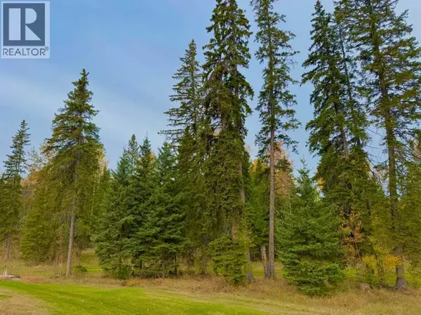 Rural Clearwater County, AB T4T1A7,202 Meadow Ponds Drive