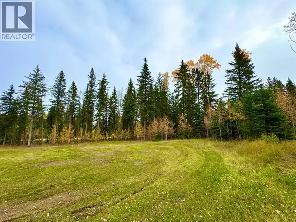 Rural Clearwater County, AB T4T1A7,127 Meadow Ponds Drive