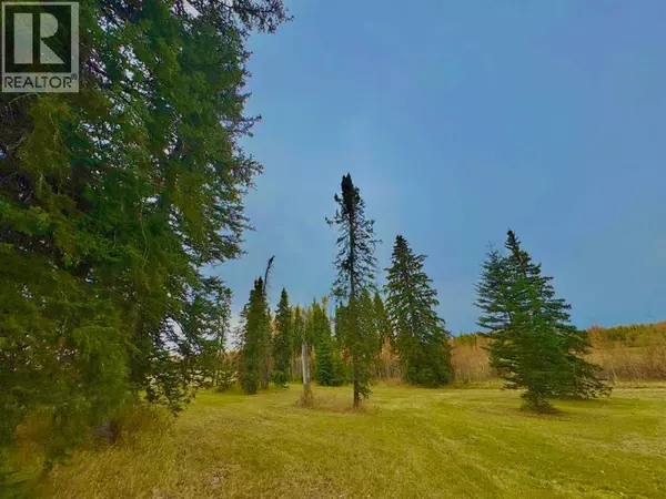 Rural Clearwater County, AB T4T1A7,309 Valley View Drive