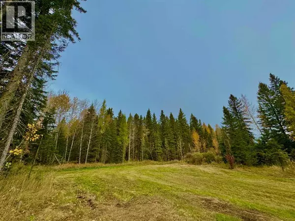 Rural Clearwater County, AB T4T1A7,157 Meadow Ponds Drive