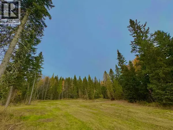 Rural Clearwater County, AB T4T1A7,157 Meadow Ponds Drive