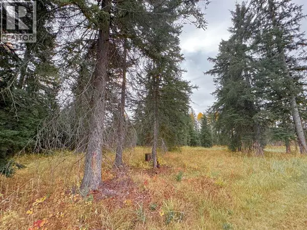 Rural Clearwater County, AB T4T1A7,201 High Timber Place