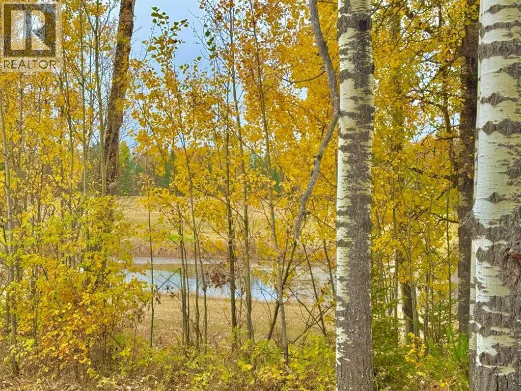 Rural Clearwater County, AB T4T1A7,417 Valley View Close