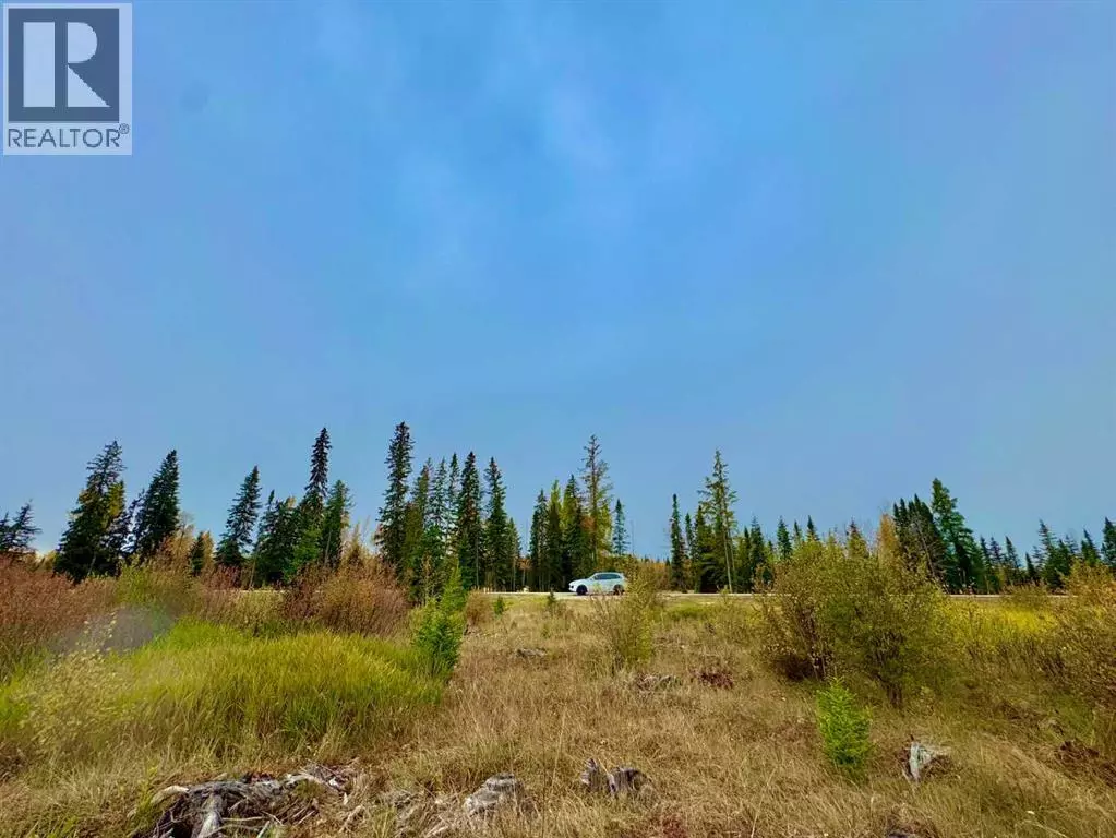 Rural Clearwater County, AB T4T1A7,408 Valley View Close