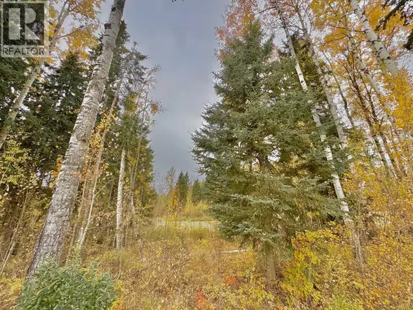 Rural Clearwater County, AB T4T1A7,301 Valley View Drive