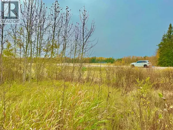 Rural Clearwater County, AB T4T1A7,416 Valley View Close