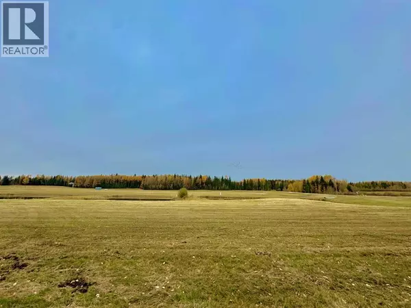 Rural Clearwater County, AB T4T1A7,401 Valley View Close