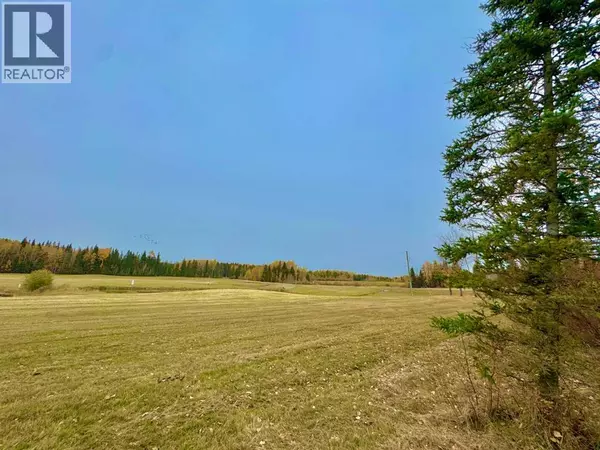 Rural Clearwater County, AB T4T1A7,401 Valley View Close