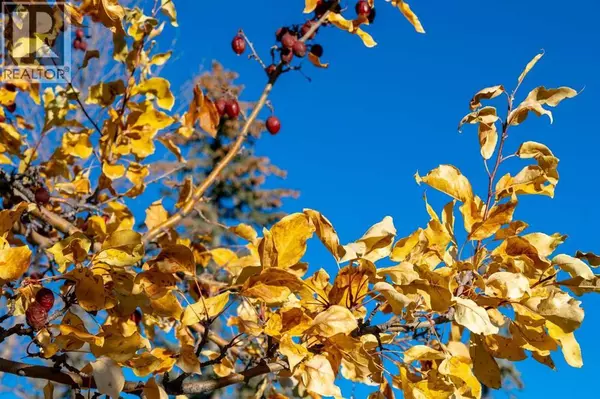 Calgary, AB T3H2C8,118 Sienna Hills Drive SW