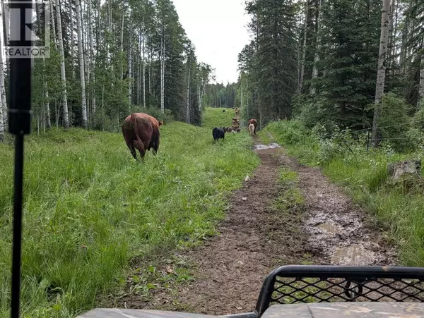 Rocky Mountain House, AB T0M0M0,8 RANGE ROAD