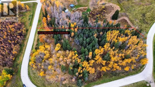 4, 15015 Township Road 424 Township, Rural Ponoka County, AB T0B0H0