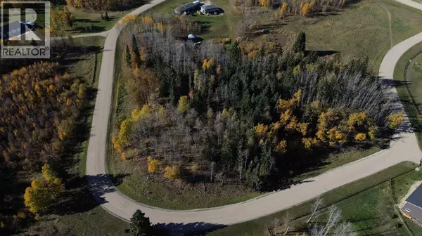 Rural Ponoka County, AB T0B0H0,4, 15015 Township Road 424 Township