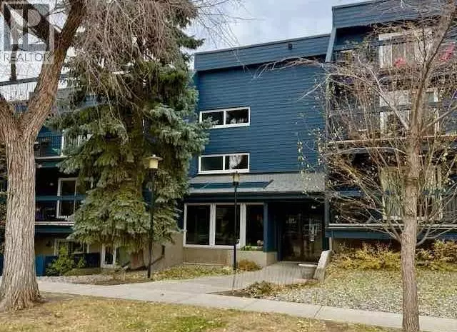 Calgary, AB T2E0K6,203, 234 5 Avenue NE