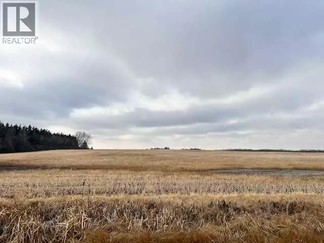 Rural Camrose County, AB T0B0Y7,NE 6 47 17 W4