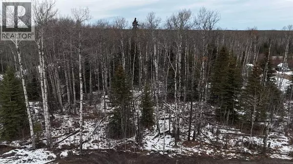 Rural Grande Prairie No. 1 County Of, AB T0H3C0,NE-20-74-5-W6