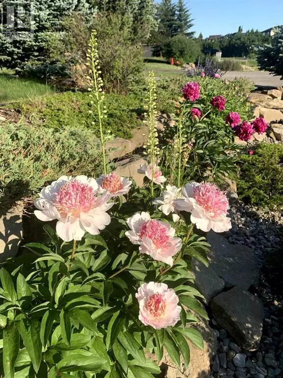 Rural Rocky View County, AB T2Z3G2,311 Rodeo Ridge