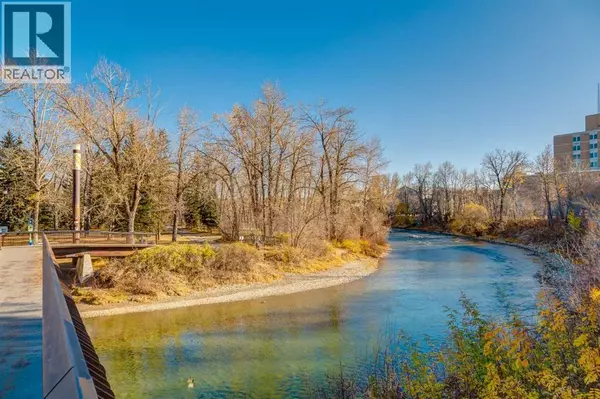 Calgary, AB T2S0G6,105, 230 21 Avenue SW