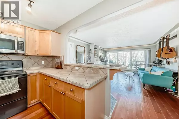 Calgary, AB T2E0J4,301, 343 4 Avenue NE