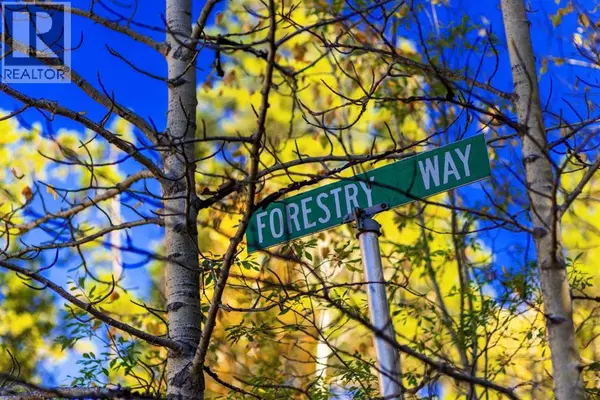 Bragg Creek, AB T0L0K0,231031 Forestry Way