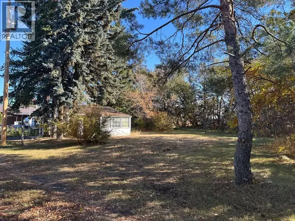 Amisk, AB T0B0B0,4820 49