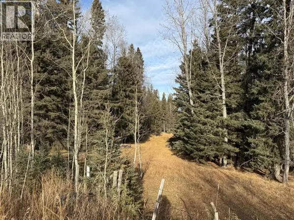 Rural Clearwater County, AB T0M0C0,39-3 Township Road