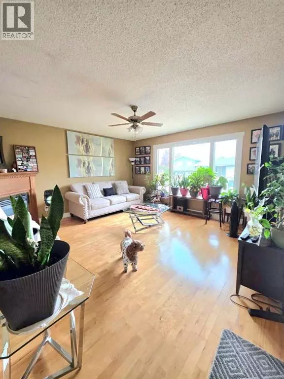 Fairview, AB T0H1L0,11713 103 Ave