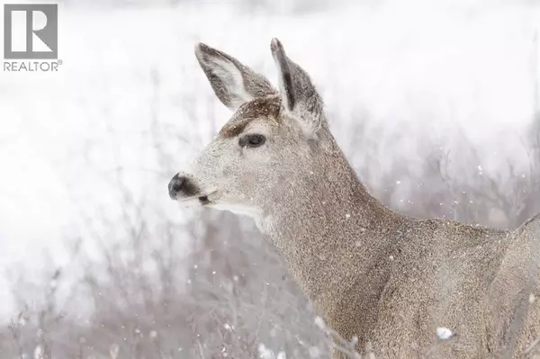 Calgary, AB T3H4N6,33 Discovery Rise SW