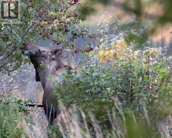 Calgary, AB T3H4N6,33 Discovery Rise SW
