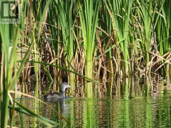 Innisfail, AB T4N0N9,6600 58 Avenue