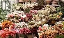 2114 54 Avenue SW, Calgary, AB T3E1L7