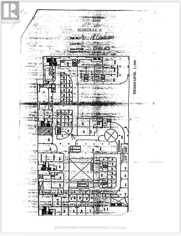 222 Spadina AVE #250, Toronto (kensington-chinatown), ON M5T3A2