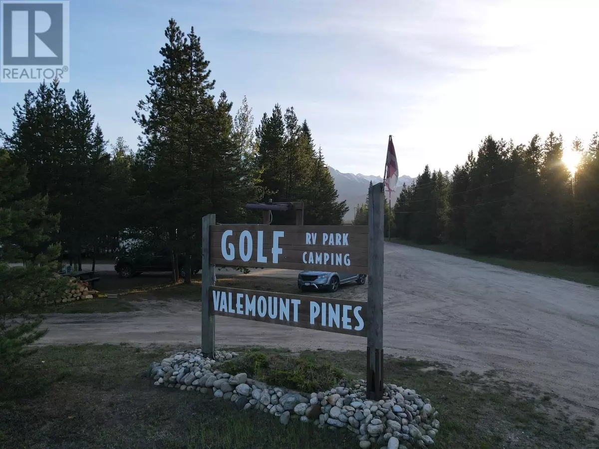 Valemount, BC V0E2Z0,1125 5 HIGHWAY