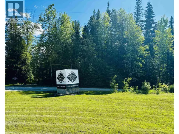 Valemount, BC V0E2Z0,60 N 5 HIGHWAY