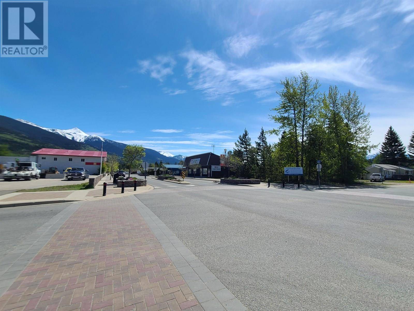 Valemount, BC V0E2Z0,1285 5TH AVENUE