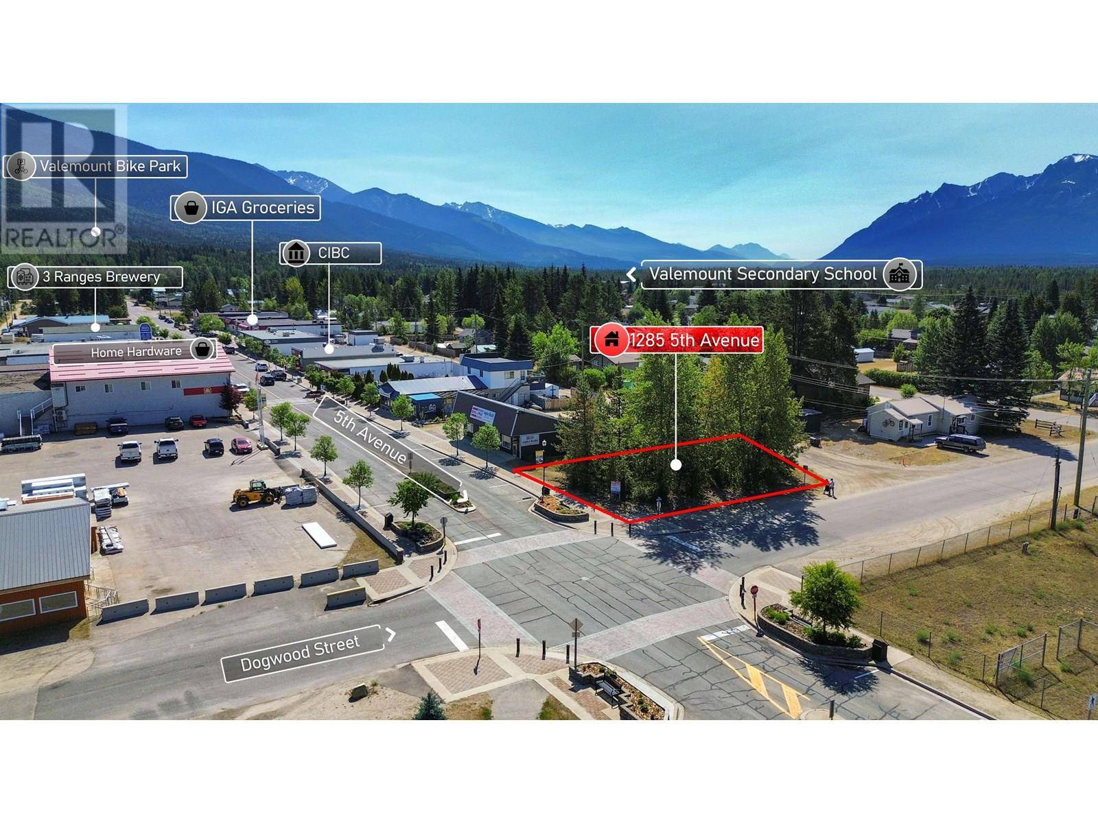 Valemount, BC V0E2Z0,1285 5TH AVENUE