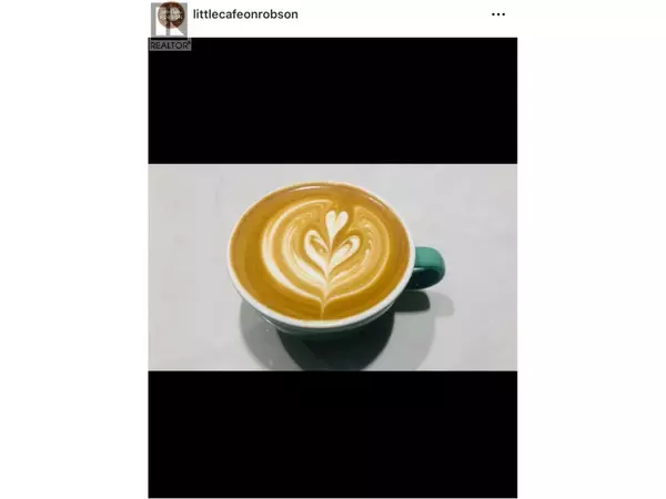 Vancouver, BC V7E6N2,1258 ROBSON STREET