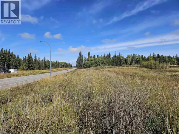 Prince George, BC V2N6E4,6686 BOUNDARY ROAD