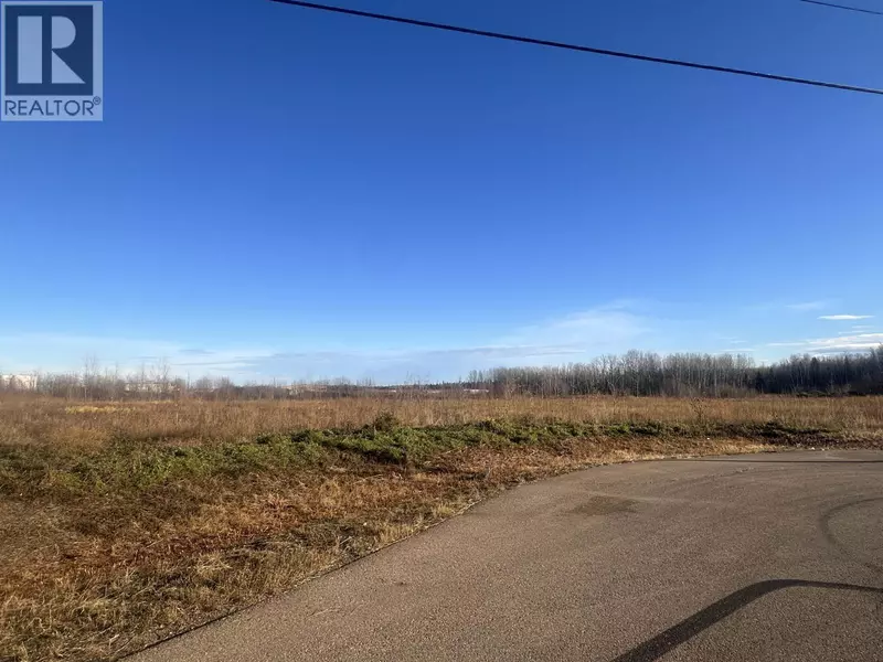 4508 WOODS COURT, Fort Nelson, BC V0C1R0