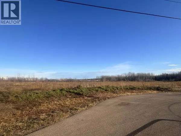 4508 WOODS COURT, Fort Nelson, BC V0C1R0