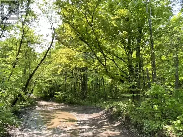 N/A BOUNDARY ROAD, Scugog, ON L9L1B3