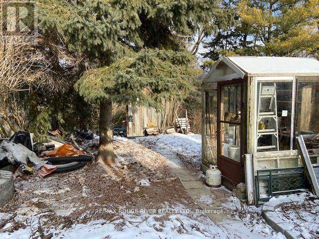 Toronto (woodbine-lumsden), ON M4C2X3,23 WESTLAKE CRESCENT