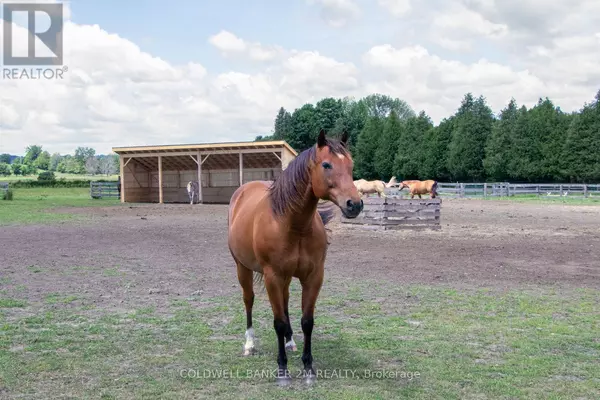 Clarington, ON L0A1J0,5728 GILMORE ROAD