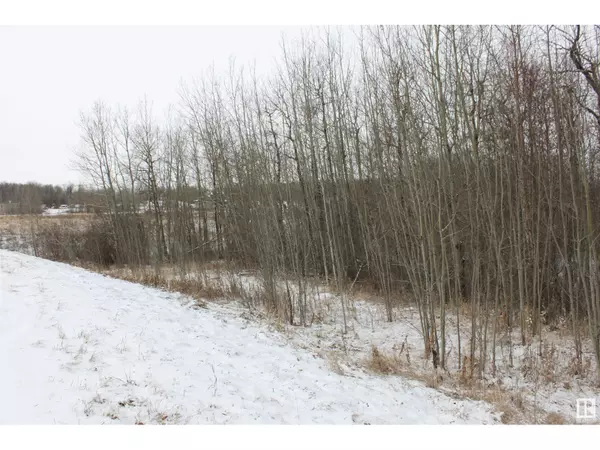 Rural Lac Ste. Anne County, AB T0E1V0,#12 54419 RGE RD 14