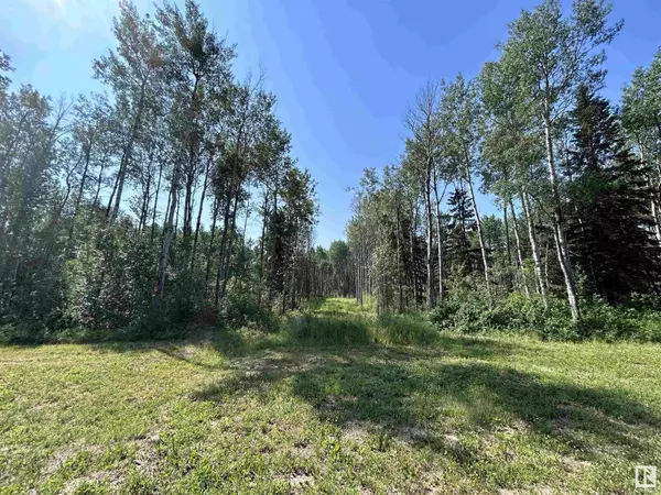 Rural Athabasca County, AB T9S1C4,Lot 3 Forest Road (RR 214)