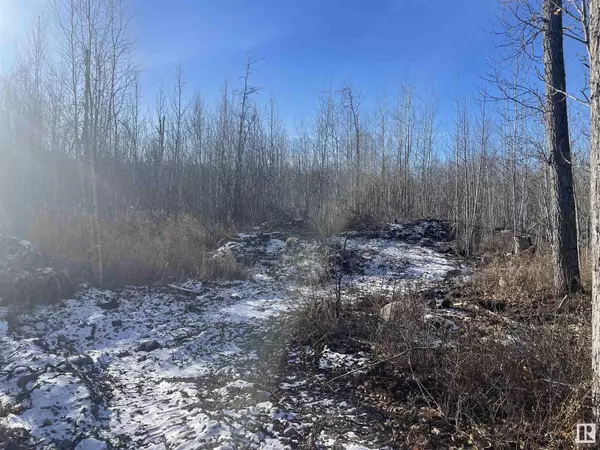 Rural Athabasca County, AB T0A0R0,175031 Twp Rd 651.5