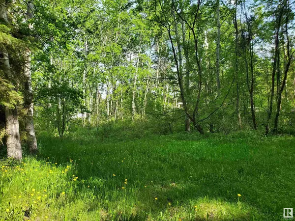 Rural Wetaskiwin County, AB T0C2V0,516 5 Norris Beach Pigeon Lake ST